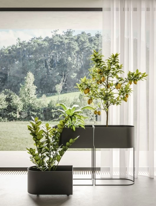 Vaso Ronda Design WINK