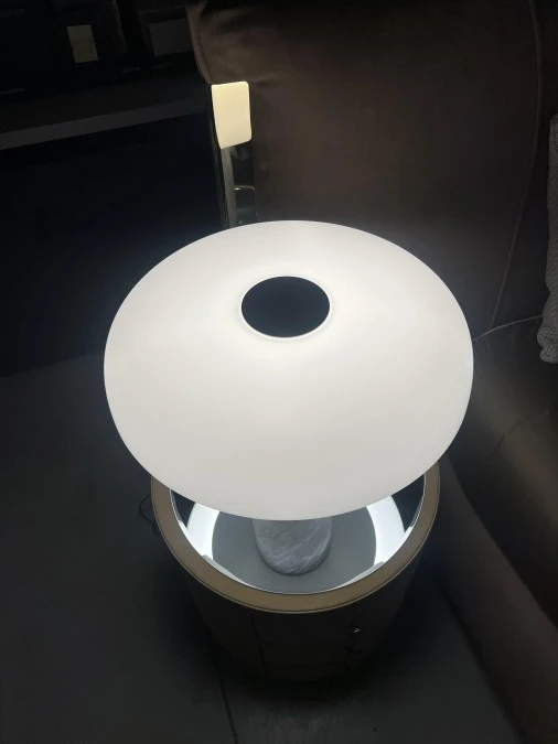 Lampada da tavolo FontanaArte Tropico