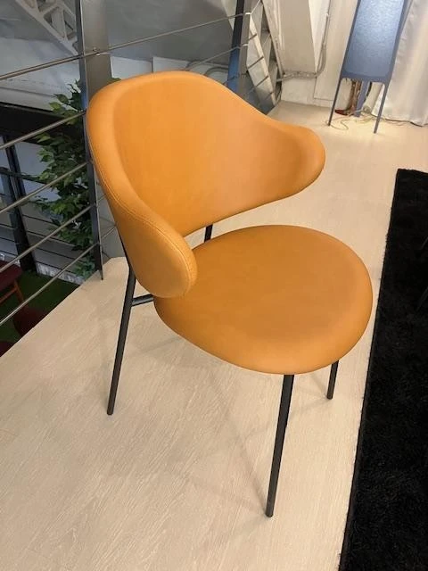 Sedia con braccioli Calligaris HOLLY