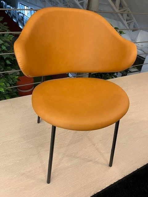Sedia con braccioli Calligaris HOLLY