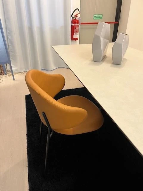 Sedia con braccioli Calligaris HOLLY