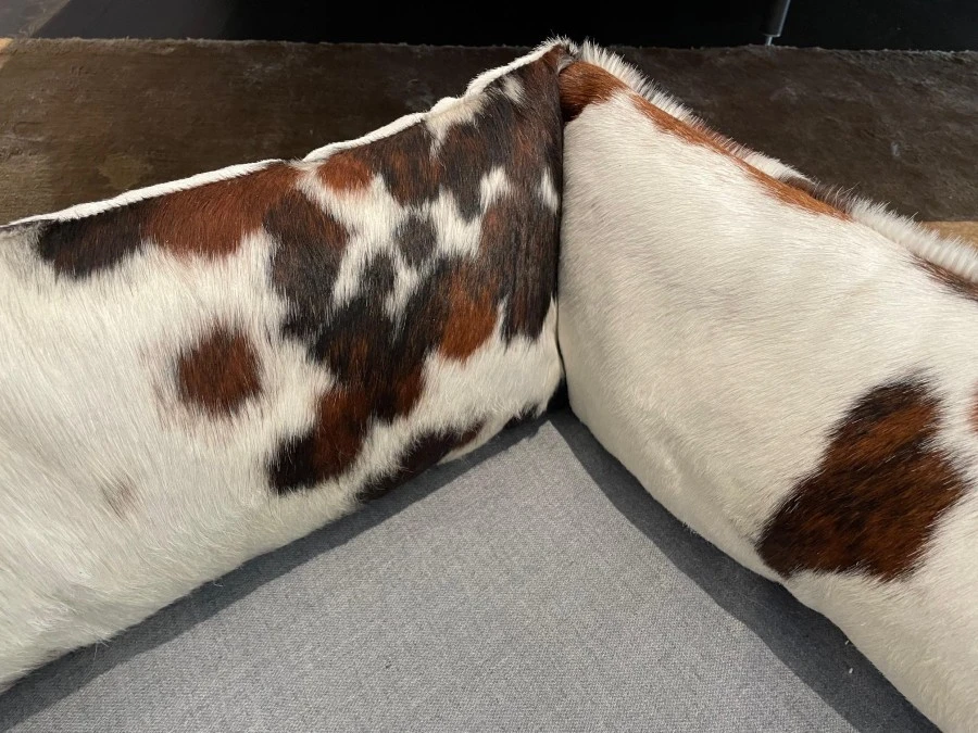 Accessorio per animali duepuntoOtto Henri