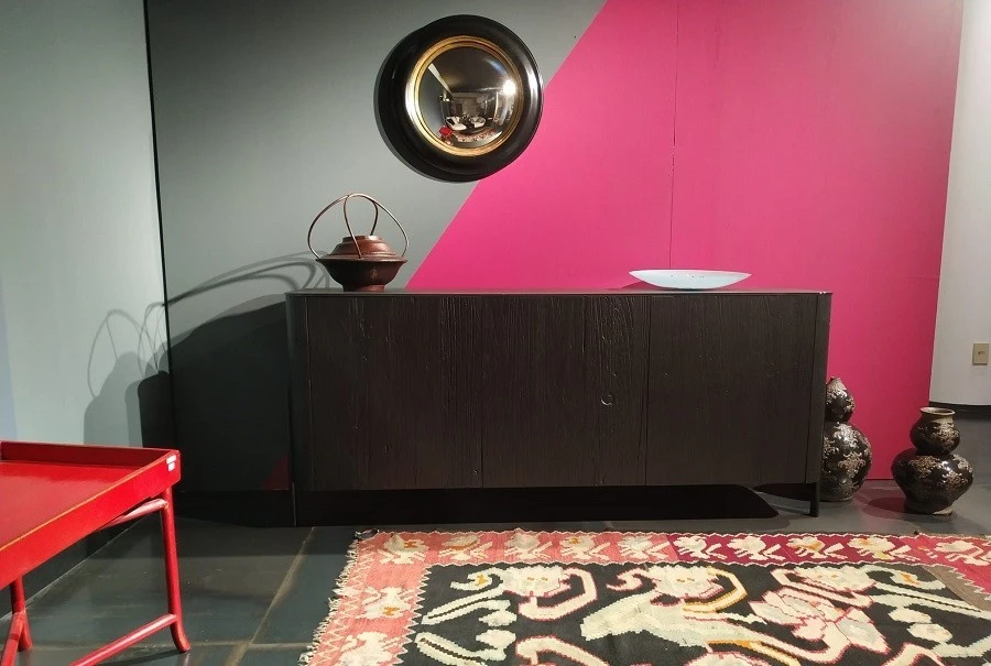 MADIA SHELL AMBIENTATO CON FORTI TONALITA' CONTRASTANTI