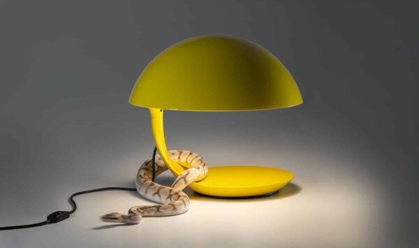 COBRA - Lampada - MARTINELLI LUCE