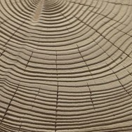 ZIBA - Sgabello seduta - RIVA 1920