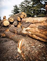 AMEDEA - Pouf/Sgabello - RIVA 1920