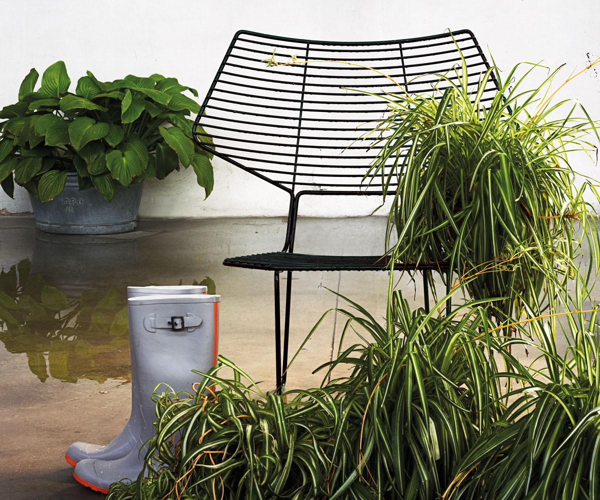 ALIENO - Sedia - HORM CASAMANIA